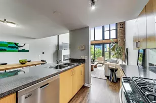 50 E 26th St, Chicago, IL 60616 - Photo 17