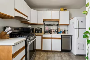 3001 S Michigan Ave, Chicago, IL 60616 - Photo 9
