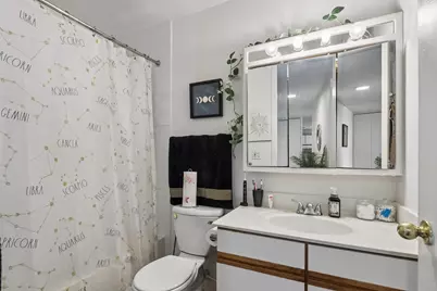 3001 S Michigan Avenue #2105, Chicago, IL 60616 - Photo 13