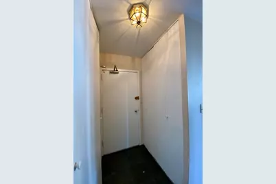 1355 N Sandburg Terrace #1608D, Chicago, IL 60610 - Photo 3