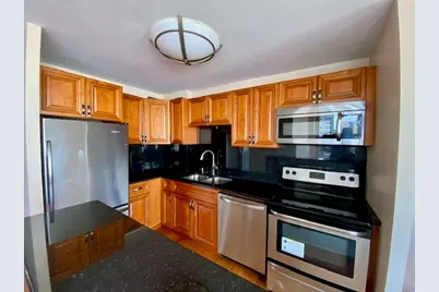 1355 N Sandburg Terrace #1608D, Chicago, IL 60610 - Photo 7