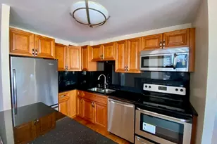 1355 N Sandburg Terrace, Chicago, IL 60610 - Photo 7