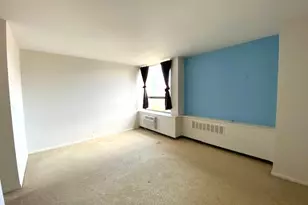 1355 N Sandburg Terrace, Chicago, IL 60610 - Photo 13