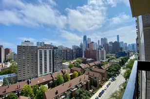 1355 N Sandburg Terrace, Chicago, IL 60610 - Photo 17