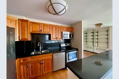 1355 N Sandburg Terrace #1608D, Chicago, IL 60610 - Photo 5