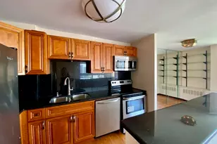 1355 N Sandburg Terrace, Chicago, IL 60610 - Photo 5