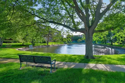 8001 W Courte Drive #411, Niles, IL 60714 - Photo 3