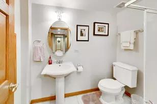 8751 Carlisle Ct, Darien, IL 60561 - Photo 59