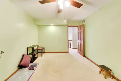 8751 Carlisle Court, Darien, IL 60561 - Photo 47