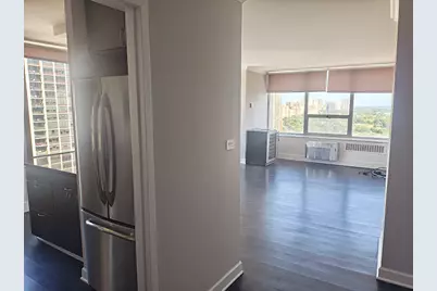70 W Burton Place #2401, Chicago, IL 60610 - Photo 3