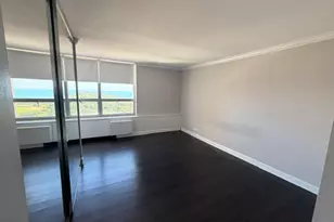 70 W Burton Pl, Chicago, IL 60610 - Photo 11