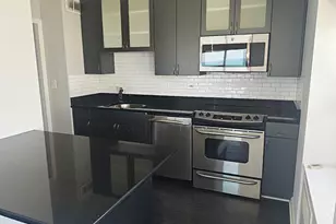 70 W Burton Pl, Chicago, IL 60610 - Photo 5