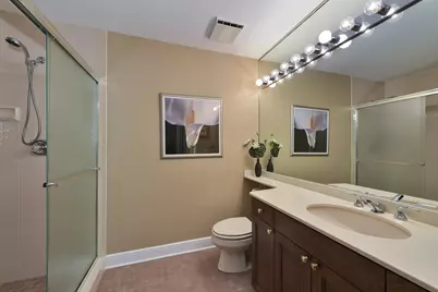 1673 Balmoral Lane, Inverness, IL 60067 - Photo 39