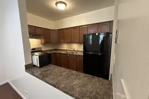 [Address not provided], Chicago, IL 60616 - Photo 5