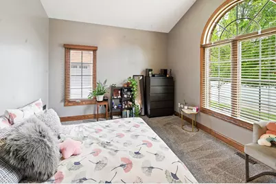 20344 Mackinac Point Drive, Frankfort, IL 60423 - Photo 31
