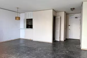 1255 N Sandburg Terrace, Chicago, IL 60610 - Photo 7