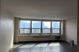 1255 N Sandburg Terrace, Chicago, IL 60610 - Photo 3