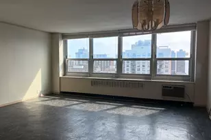 1255 N Sandburg Terrace, Chicago, IL 60610 - Photo 5