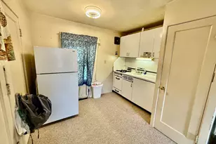 614 S Chestnut St, Princeton, IL 61356 - Photo 27