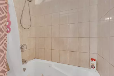 4615 S Michigan Avenue S #2N, Chicago, IL 60653 - Photo 15
