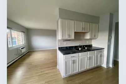 8635 W Foster Avenue #3b, Chicago, IL 60656 - Photo 3