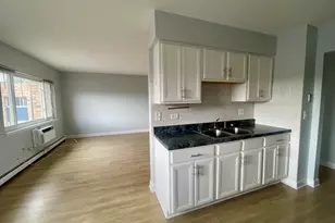 8635 W Foster Ave, Chicago, IL 60656 - Photo 3