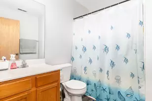 3217 Hoffman St, Plano, IL 60545 - Photo 19