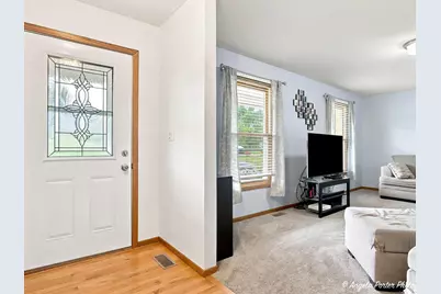 24878 W Highwoods Drive, Lake Villa, IL 60046 - Photo 3