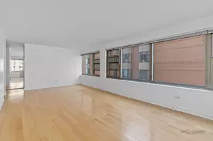 247 E Chestnut St, Chicago, IL 60611 - Photo 9