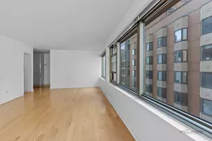 247 E Chestnut St, Chicago, IL 60611 - Photo 11