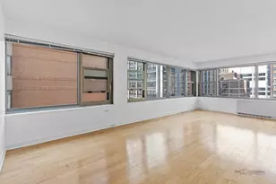 247 E Chestnut St, Chicago, IL 60611 - Photo 7