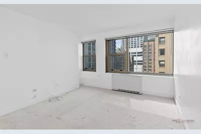 247 E Chestnut Street #1804, Chicago, IL 60611 - Photo 15