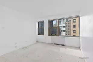 247 E Chestnut St, Chicago, IL 60611 - Photo 15