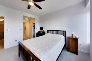 1717 S Prairie Ave, Chicago, IL 60616 - Photo 13