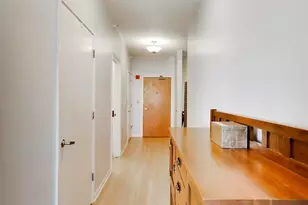 1717 S Prairie Ave, Chicago, IL 60616 - Photo 21