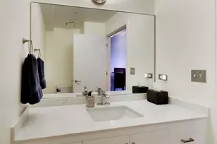 1717 S Prairie Ave, Chicago, IL 60616 - Photo 19