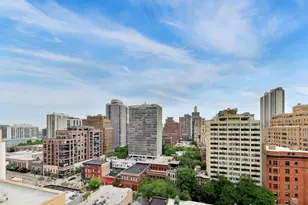 30 E Elm St, Chicago, IL 60611 - Photo 11