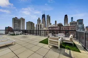 30 E Elm St, Chicago, IL 60611 - Photo 15