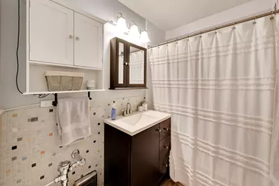 30 E Elm Street #16F, Chicago, IL 60611 - Photo 9