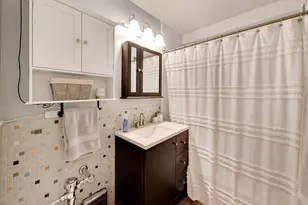 30 E Elm St, Chicago, IL 60611 - Photo 9