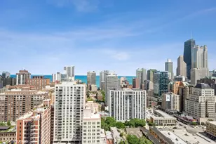 1255 N Sandburg Terrace, Chicago, IL 60610 - Photo 19