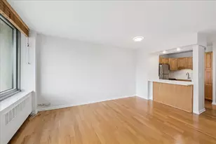 1255 N Sandburg Terrace, Chicago, IL 60610 - Photo 7