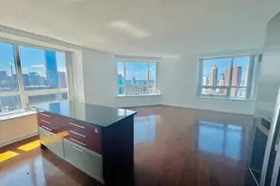 512 N McClurg Ct, Chicago, IL 60611 - Photo 9