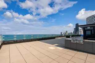 1440 N Lake Shore Dr, Chicago, IL 60610 - Photo 33