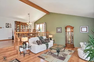 18817 Creekview Ln, Mokena, IL 60448 - Photo 5