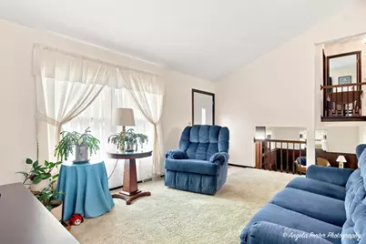 25596 W Wacker Drive, Lake Villa, IL 60046 - Photo 3