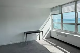 4800 S Chicago Beach Dr, Chicago, IL 60615 - Photo 5