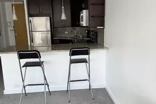 4800 S Chicago Beach Dr, Chicago, IL 60615 - Photo 7