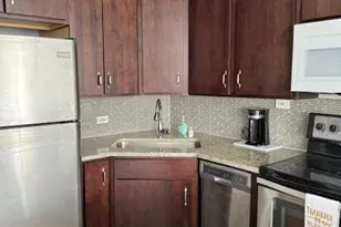 4800 S Chicago Beach Dr, Chicago, IL 60615 - Photo 9