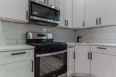 1442 S Springfield Avenue, Chicago, IL 60623 - Photo 33
